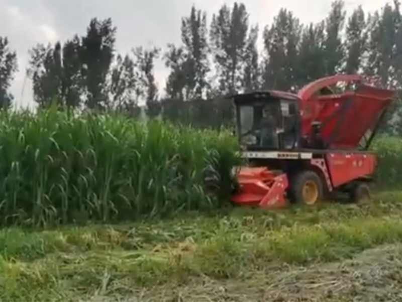 輪式升級版金牧糧草收割視頻