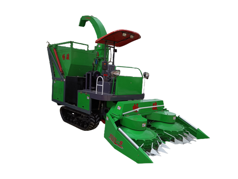 農(nóng)業(yè)農(nóng)村部部署2023年大豆玉米帶狀復(fù)合種植示范推廣工作