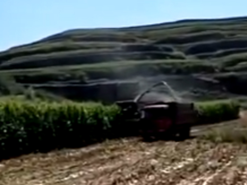 輪式豪華版·收割玉米跟車(chē)作業(yè)·寧夏