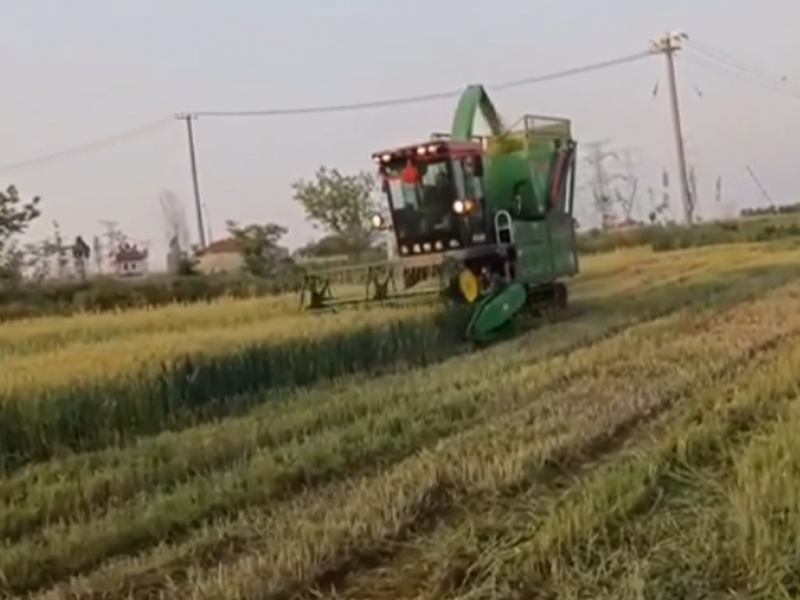 安徽用戶(hù)收割燕麥、苜蓿